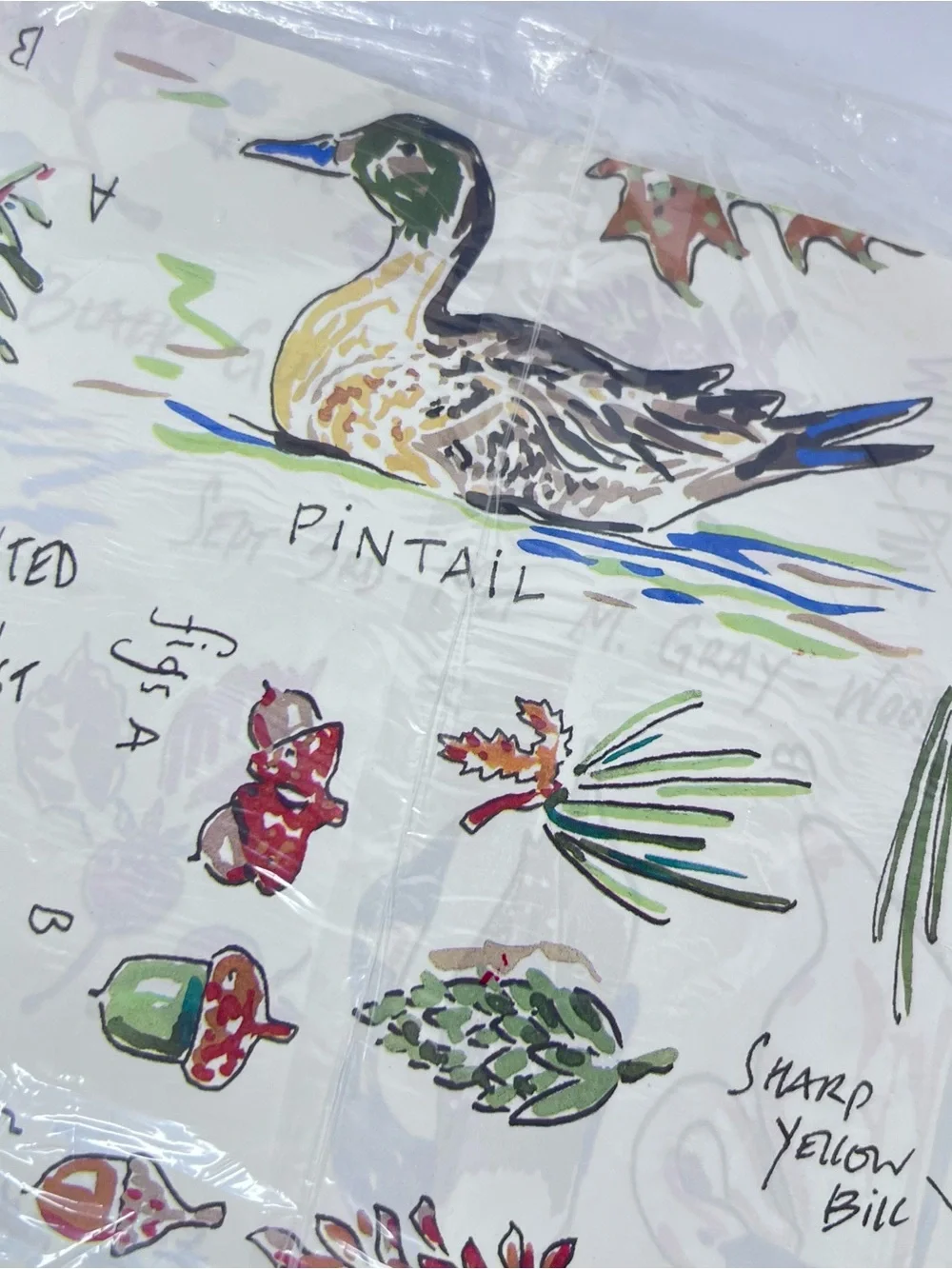 Vintage Duck Forrest Rain Gift Wrap Sheets American Greetings New Junk Journal
